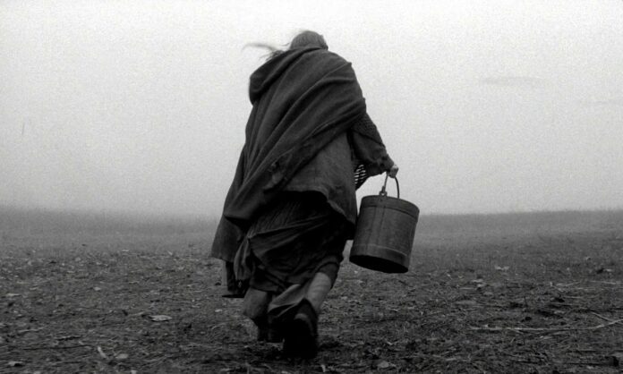 اسب تورین The Turin Horse کارگردان: بلا تار (با همراهی اگنس هرانیتسکی)بازیگران: یانوش درژی، اریکا بوکمحصول ۲۰۱۱